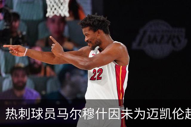 热刺球员马尔穆什因未为迈凯伦超跑投保被判罚220英镑